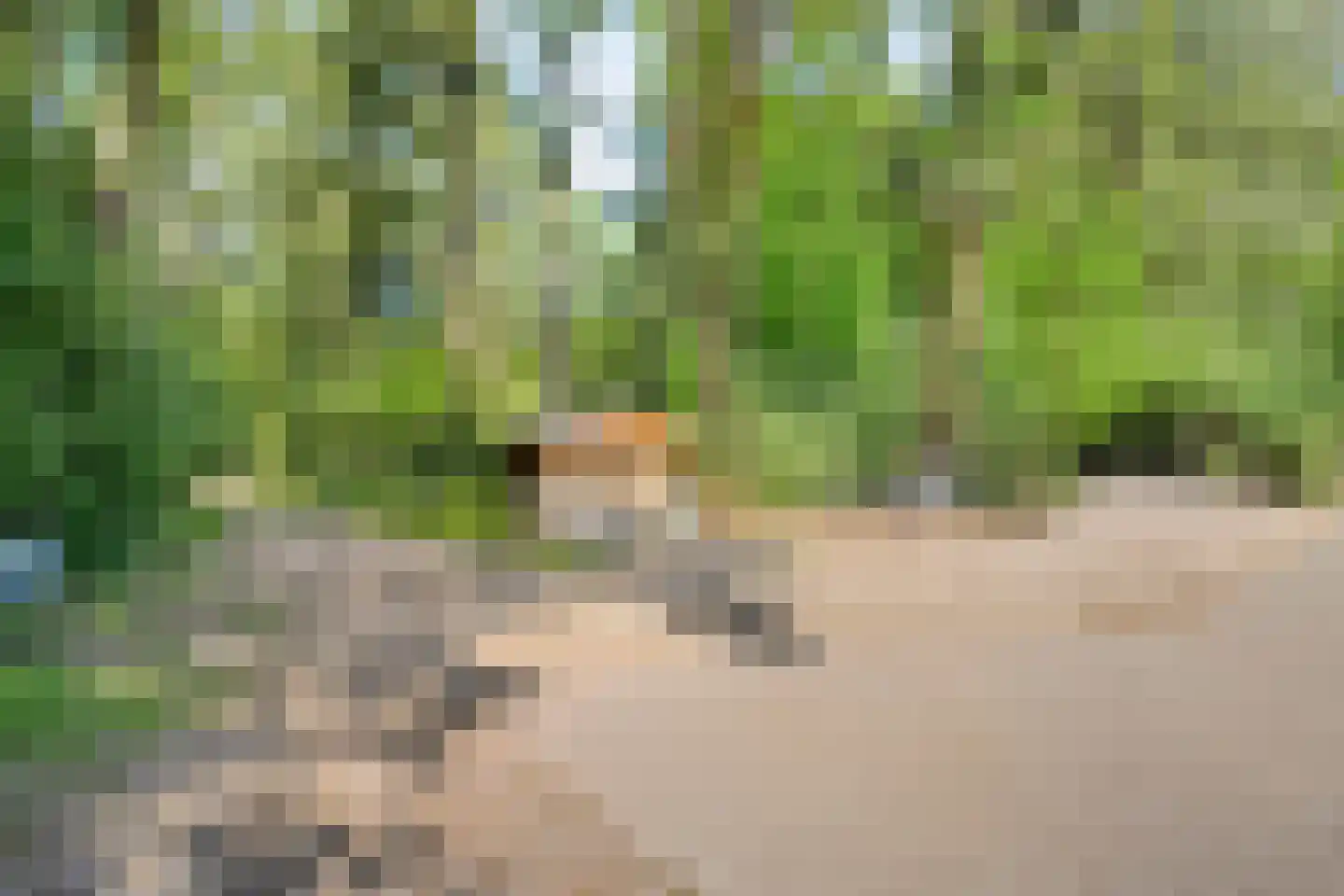 Heinoseweg 33 Dalfsen thumbnail 22