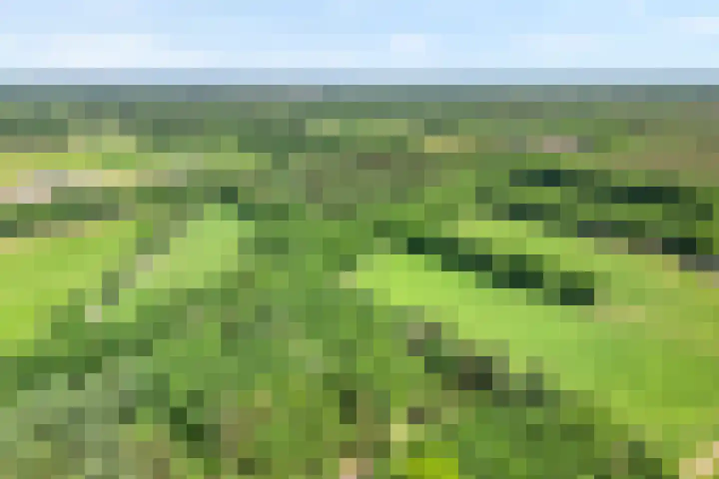 Heinoseweg 33 Dalfsen thumbnail 25