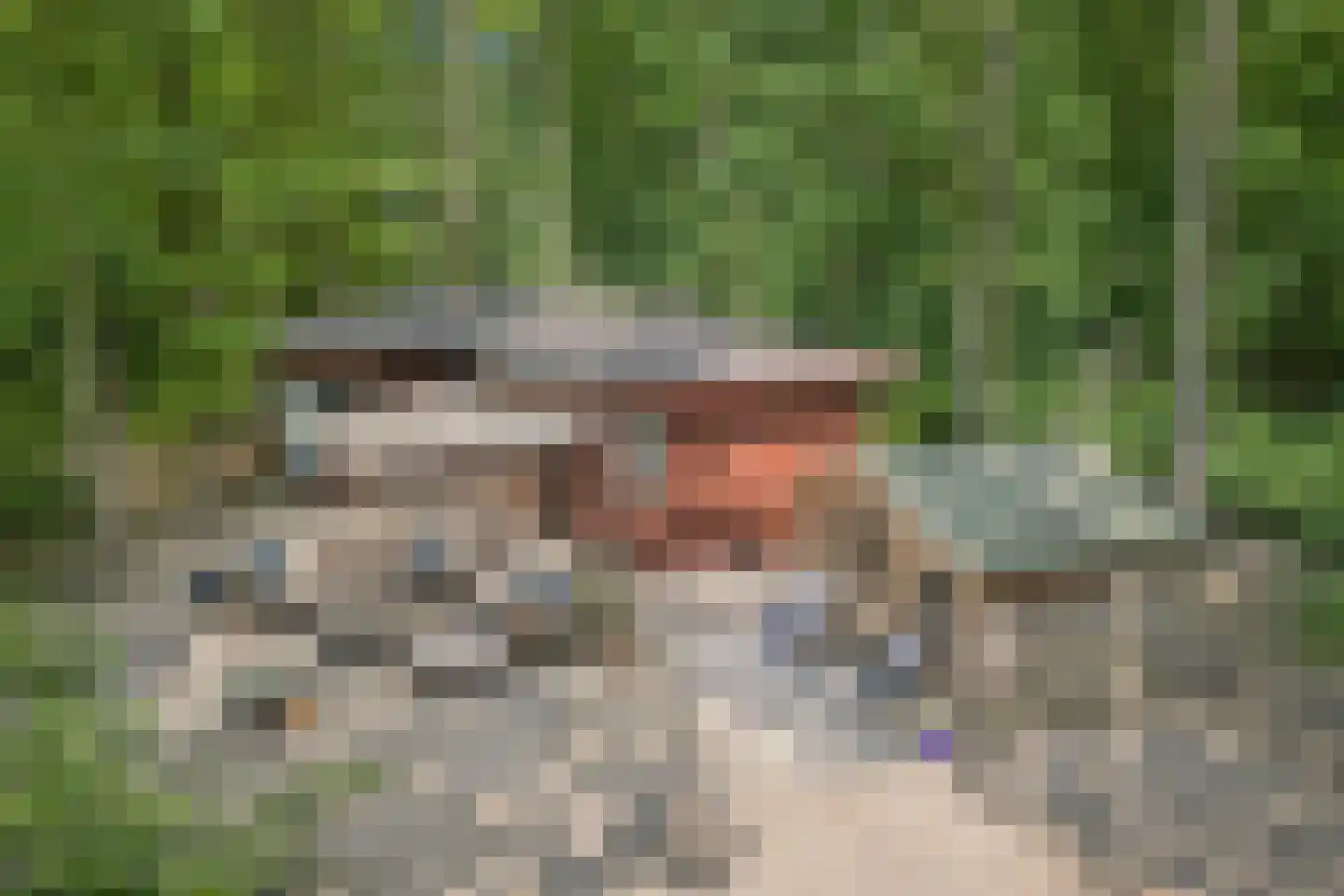 Heinoseweg 33 Dalfsen thumbnail 5