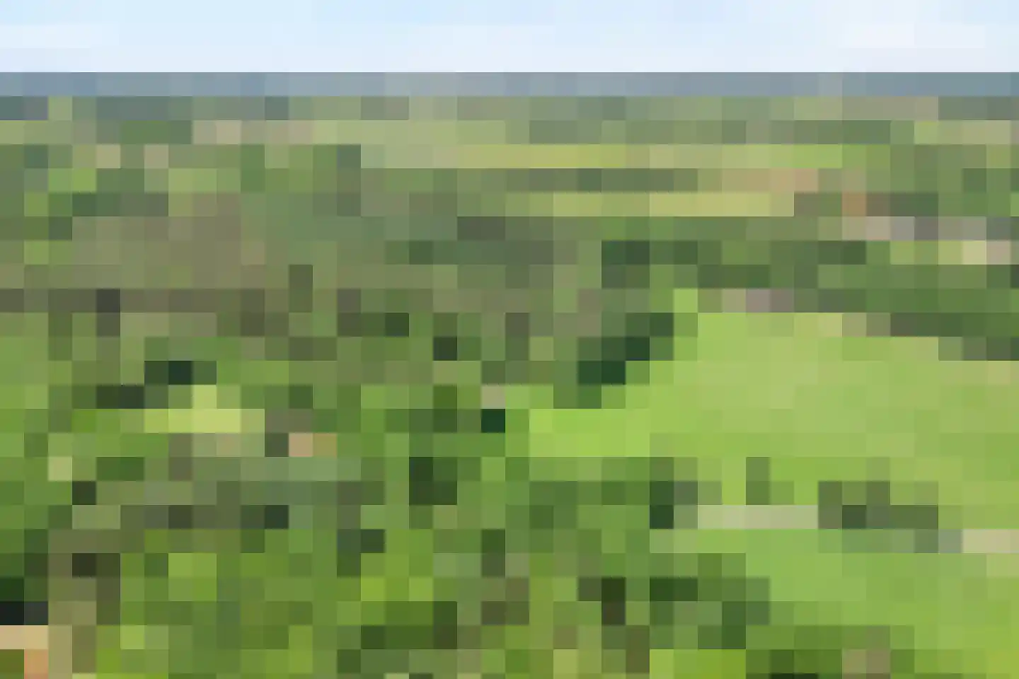 Heinoseweg 33 Dalfsen thumbnail 6