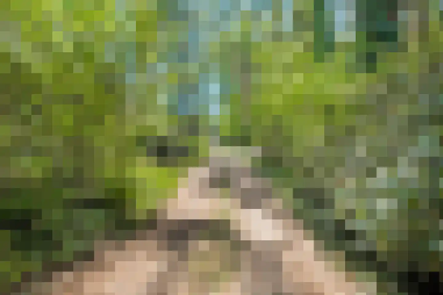 Heinoseweg 33 Dalfsen thumbnail 7