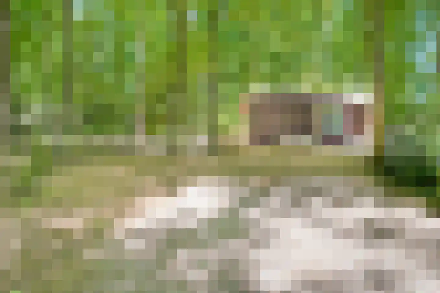 Heinoseweg 33 Dalfsen thumbnail 8