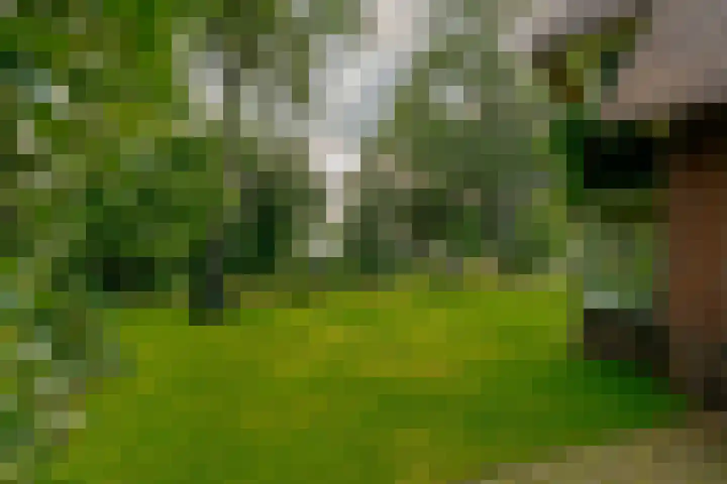 Heinoseweg 5 Zwolle thumbnail 11