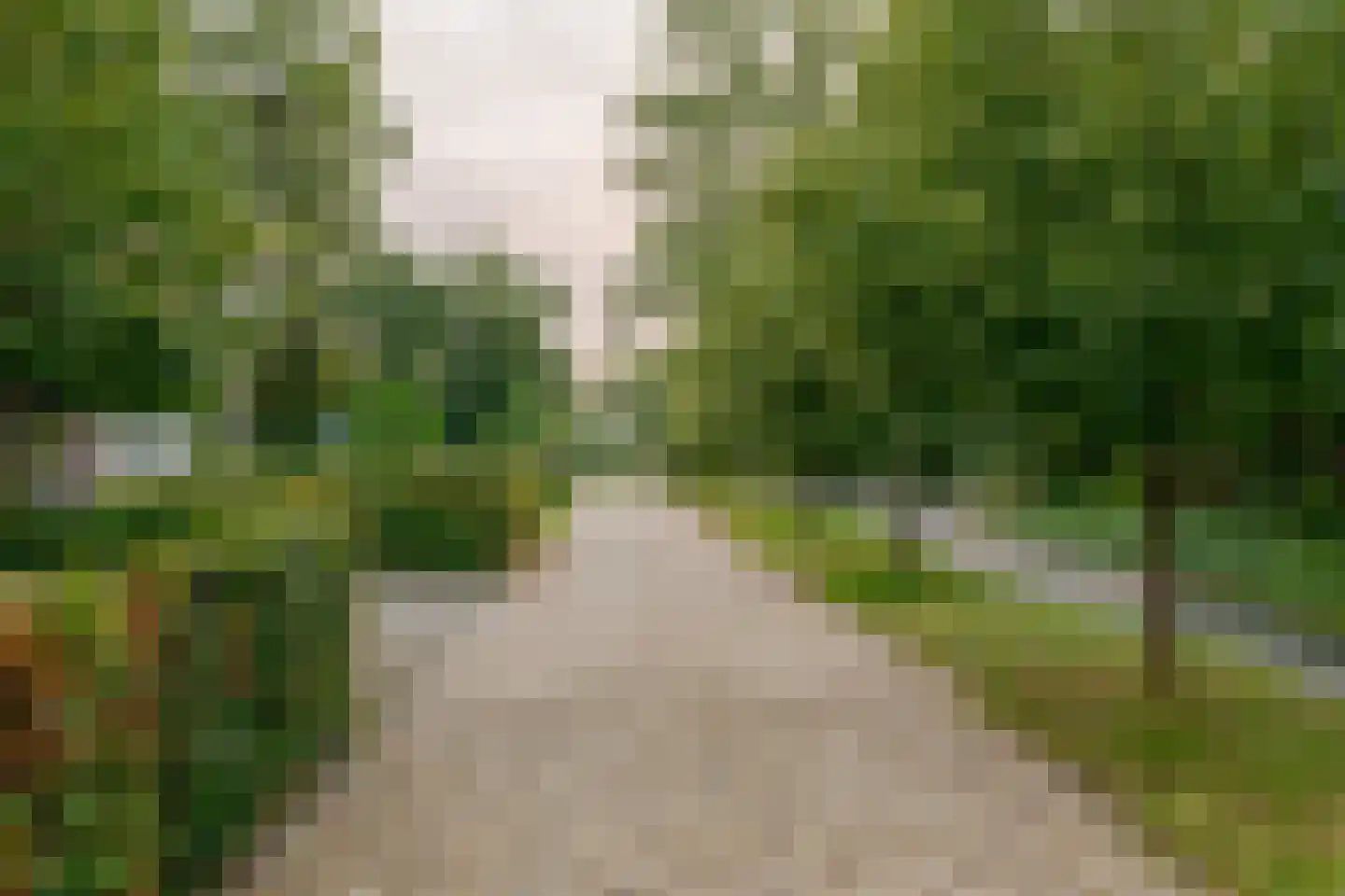 Heinoseweg 5 Zwolle thumbnail 15