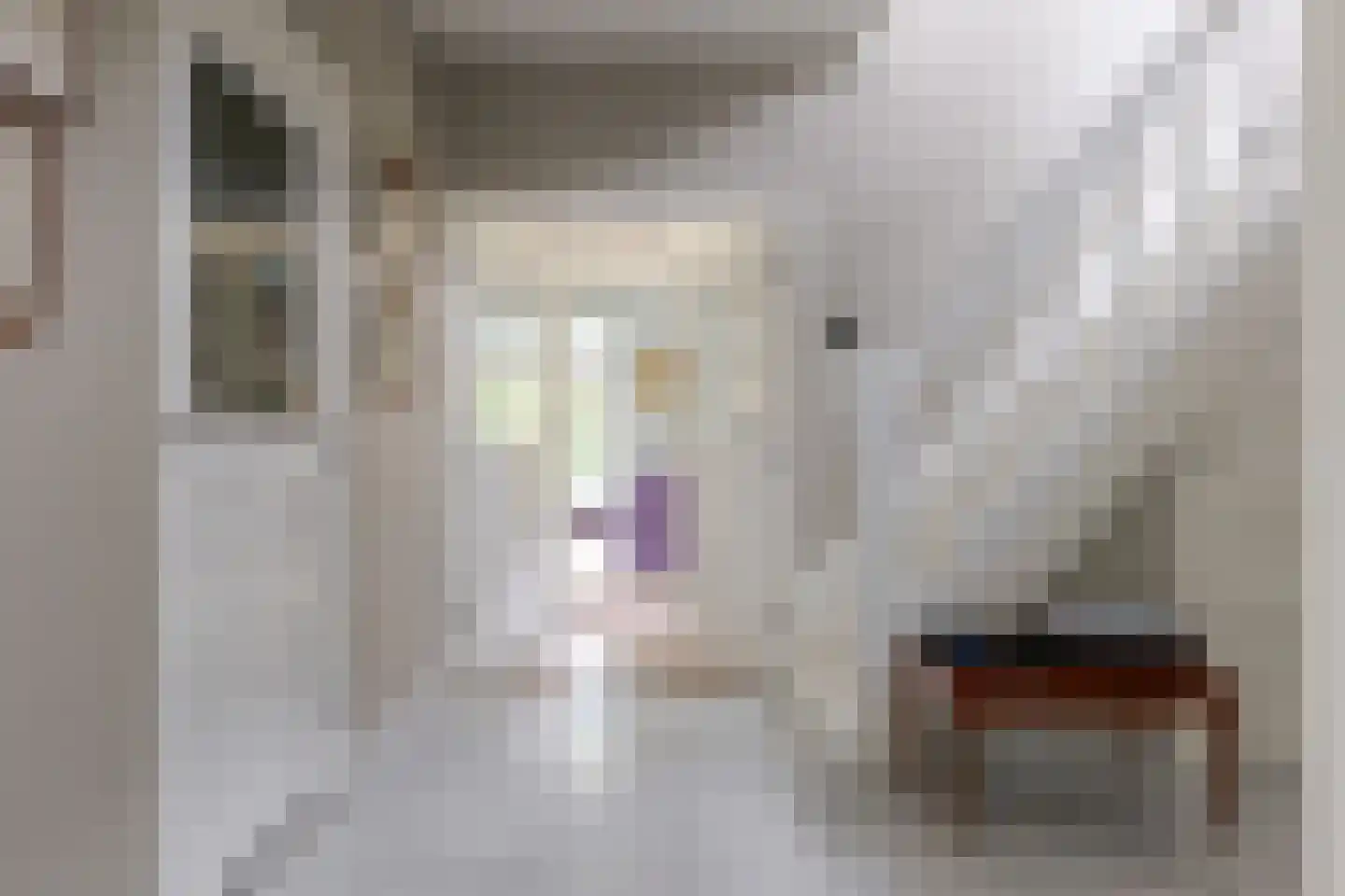 Heinoseweg 5 Zwolle thumbnail 19