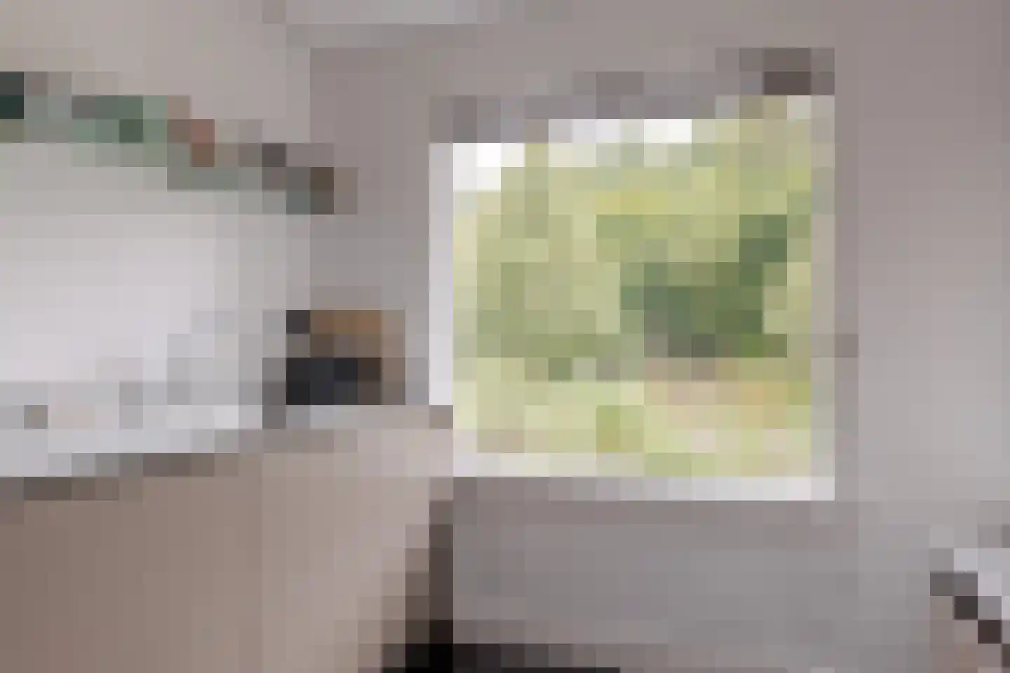 Heinoseweg 5 Zwolle thumbnail 33