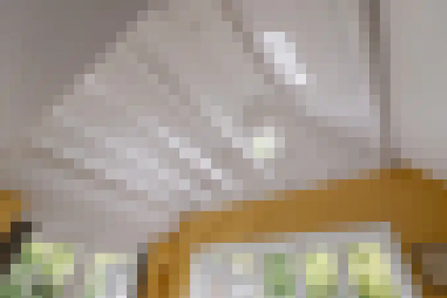 Heinoseweg 5 Zwolle thumbnail 37
