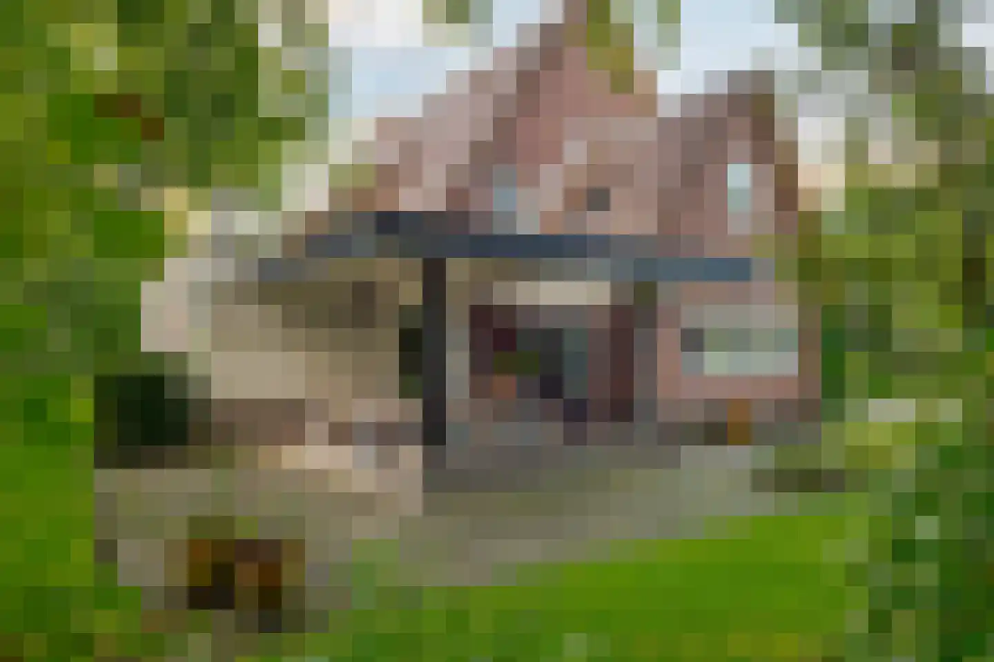 Heinoseweg 5 Zwolle thumbnail 4