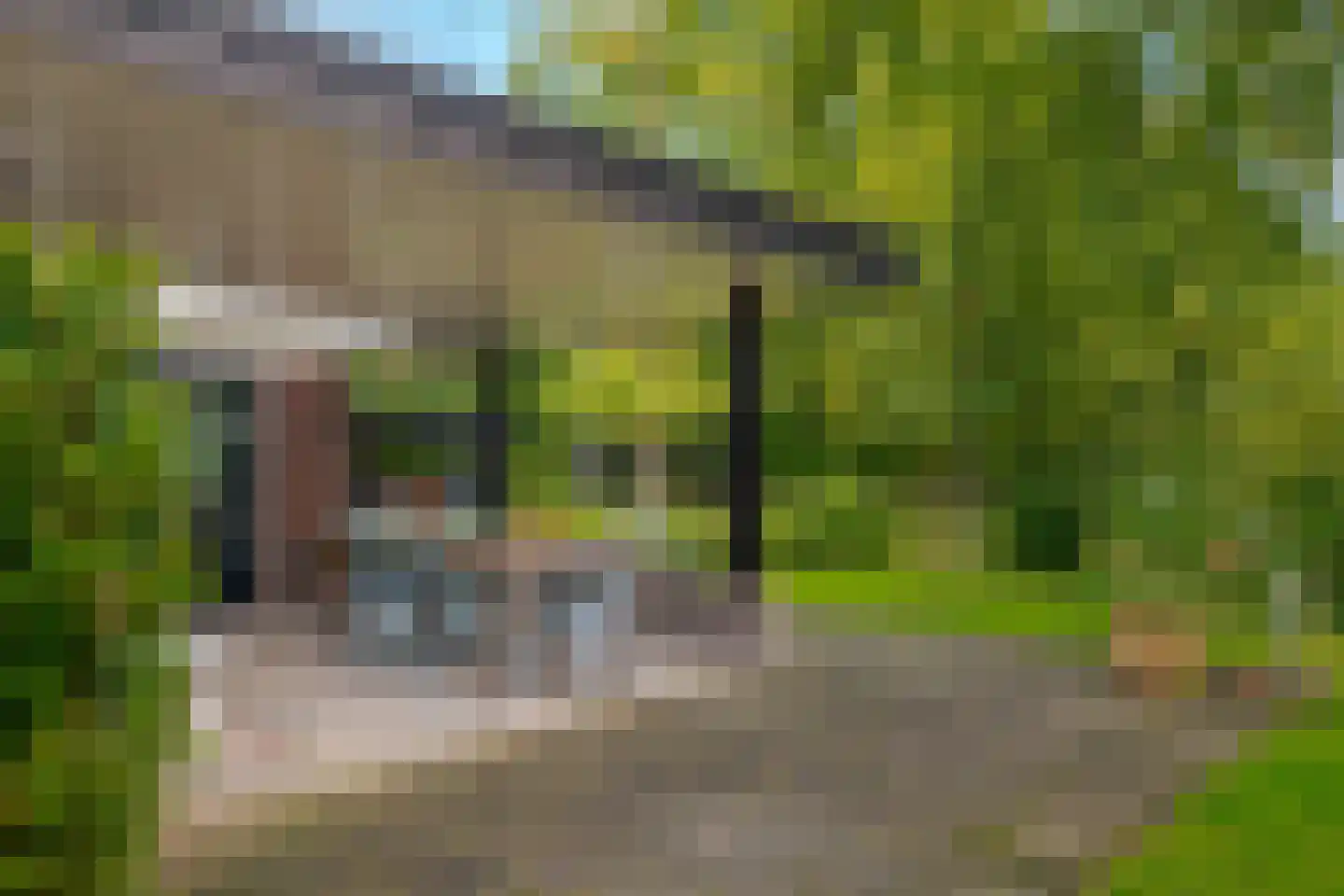 Heinoseweg 5 Zwolle thumbnail 45