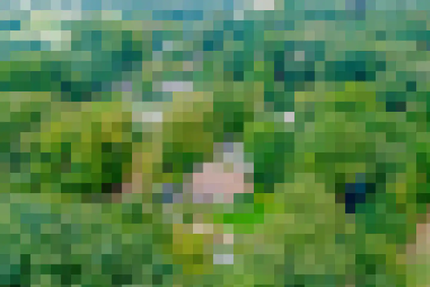 Heinoseweg 5 Zwolle thumbnail 5