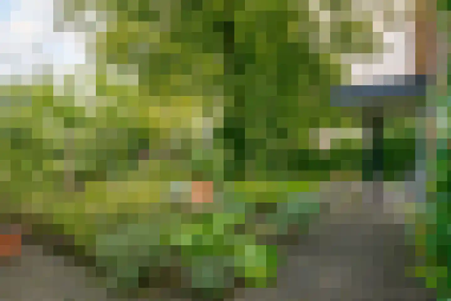 Heinoseweg 5 Zwolle thumbnail 51