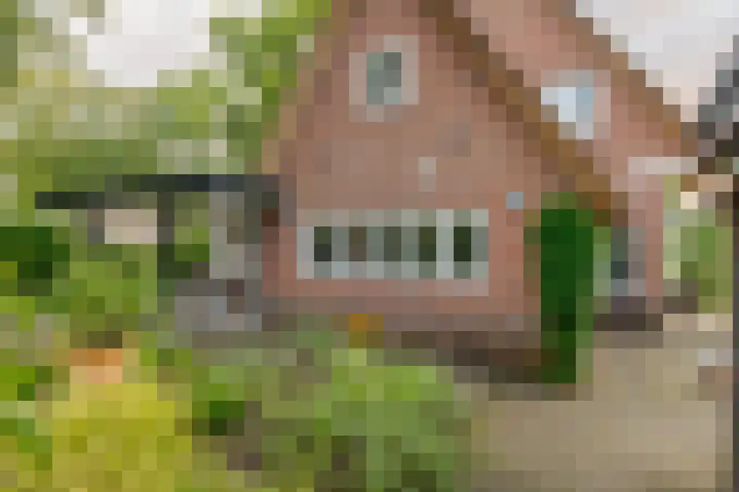 Heinoseweg 5 Zwolle thumbnail 54