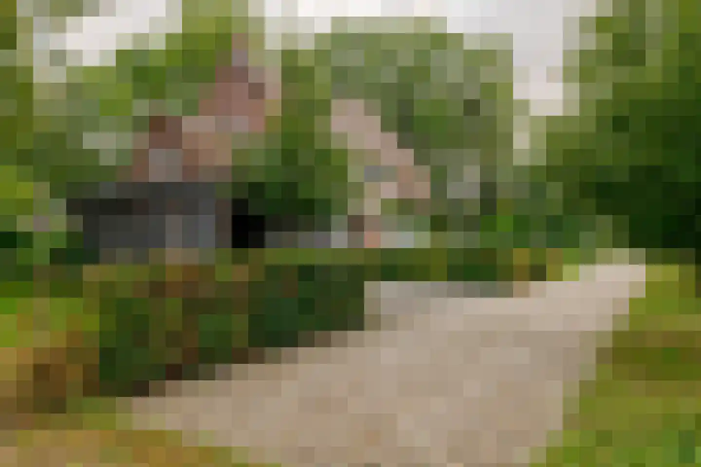 Heinoseweg 5 Zwolle thumbnail 57