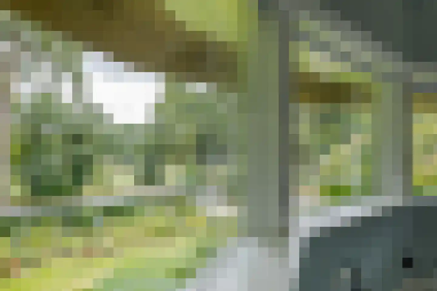 Heinoseweg 5 Zwolle thumbnail 70