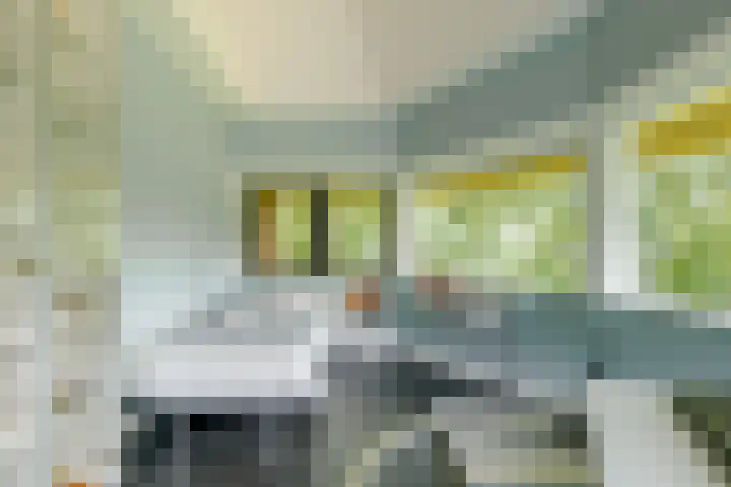 Heinoseweg 5 Zwolle thumbnail 71