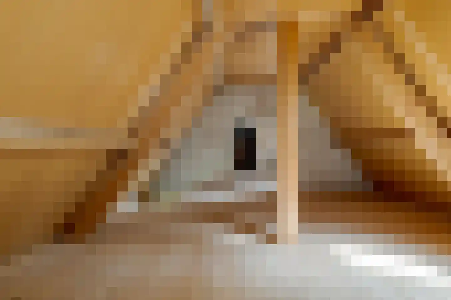 Heinoseweg 5 Zwolle thumbnail 72