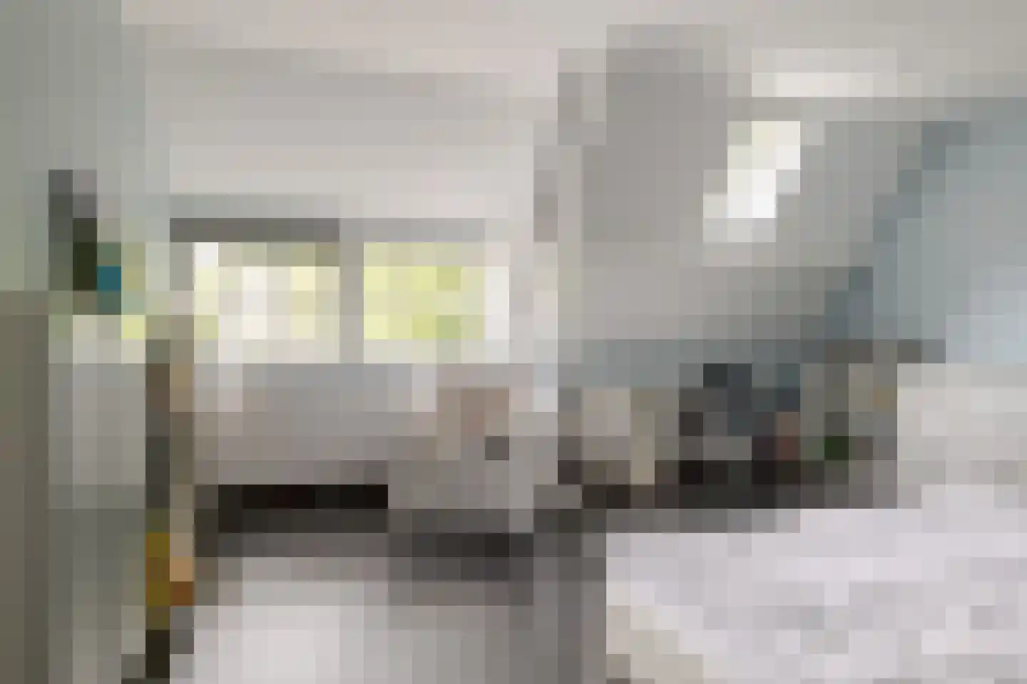 Heinoseweg 5 Zwolle thumbnail 78