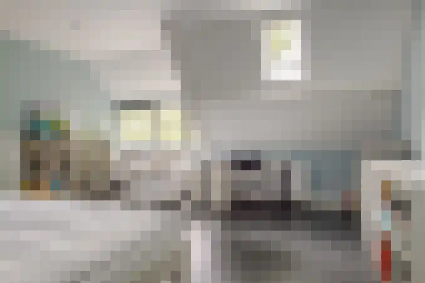 Heinoseweg 5 Zwolle thumbnail 80
