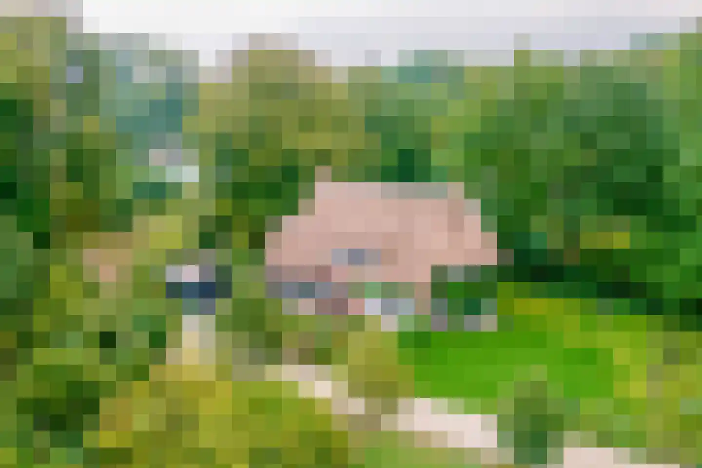 Heinoseweg 5 Zwolle thumbnail 87