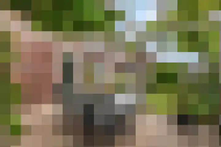 Heinrich Böllstraat 22 Nijmegen thumbnail 50