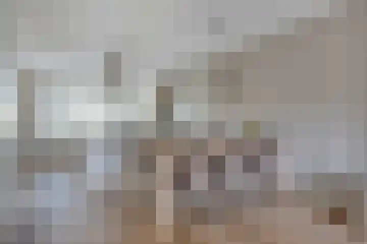 Heinsbergenstraat 23 Uden thumbnail 14