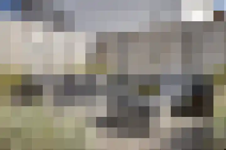 Heinsbergenstraat 23 Uden thumbnail 31