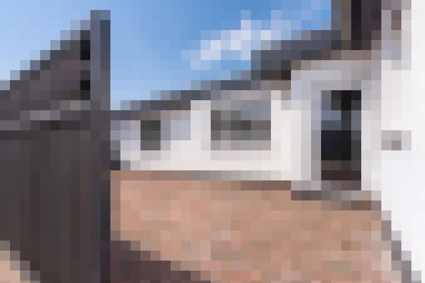 Heinsbergerstraat 15 Stein thumbnail 22