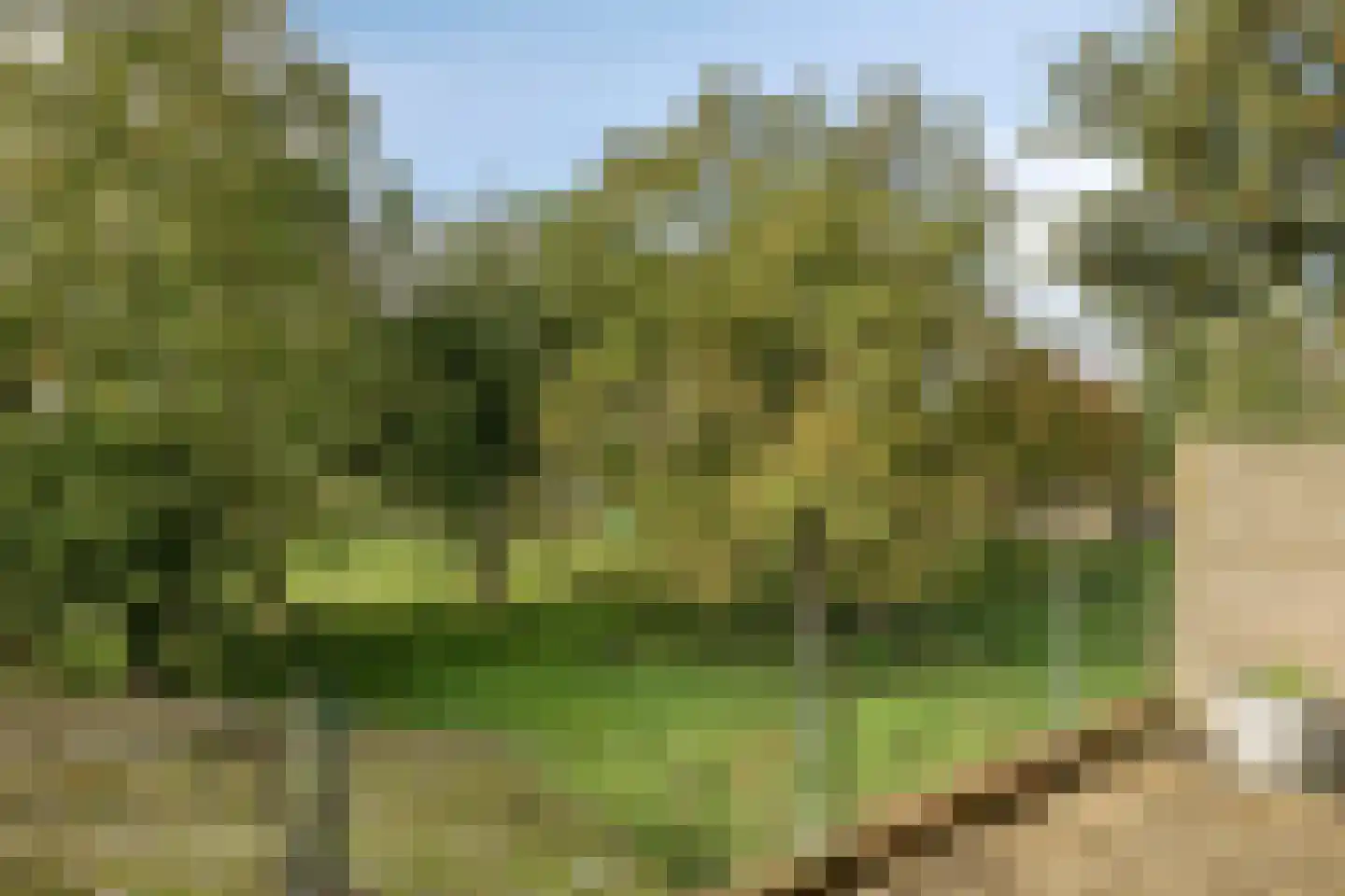 Heinsbergerweg 122 Roermond thumbnail 33