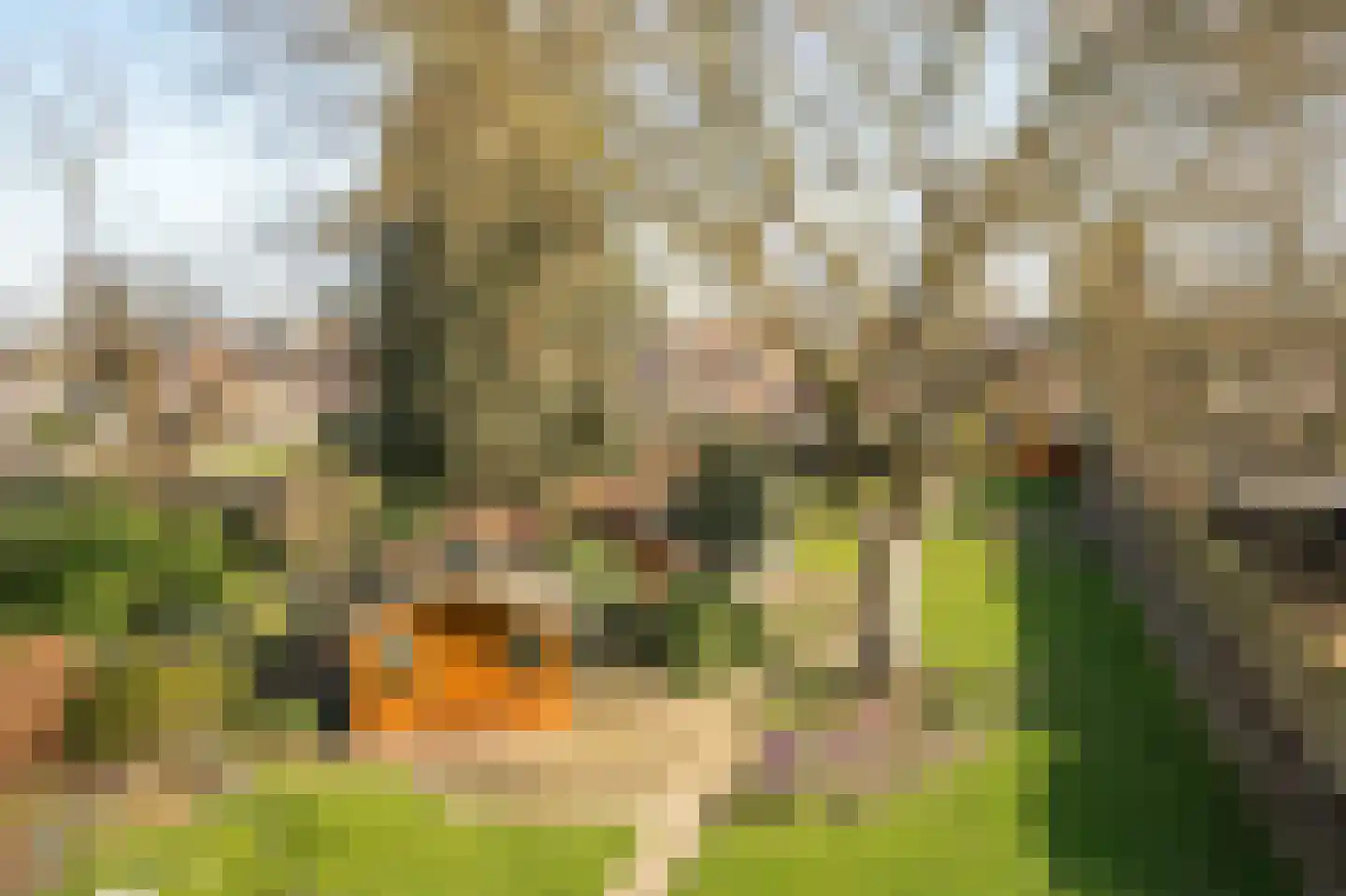 Heinsbergerweg 15 Posterholt thumbnail 36