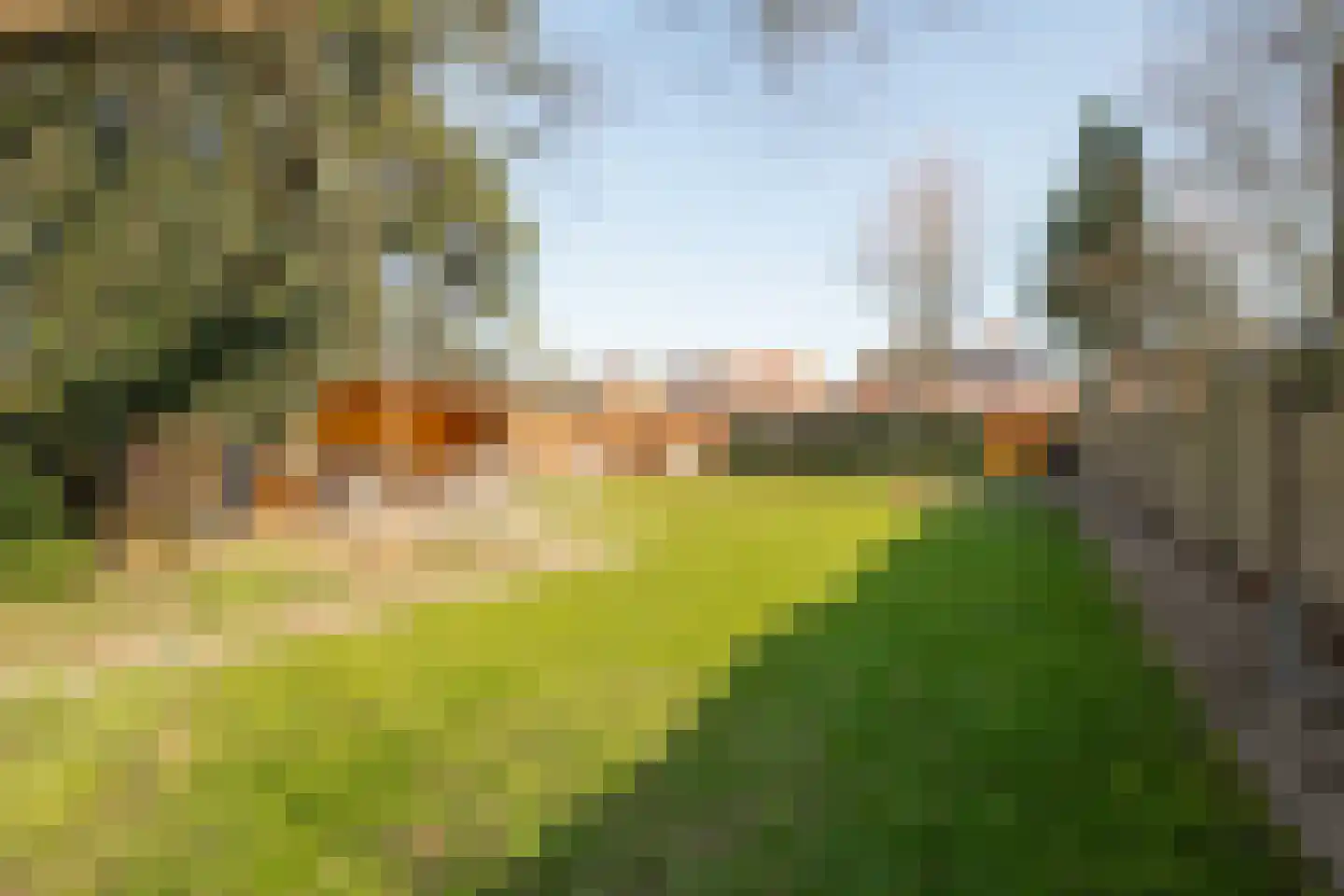 Heinsbergerweg 15 Posterholt thumbnail 39