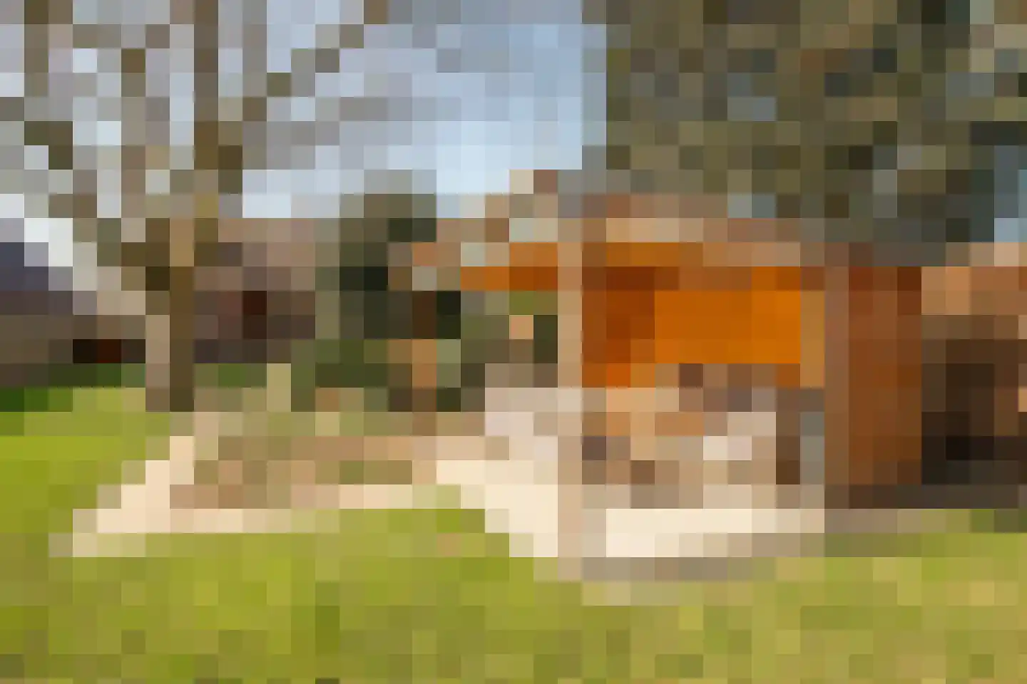 Heinsbergerweg 15 Posterholt thumbnail 40