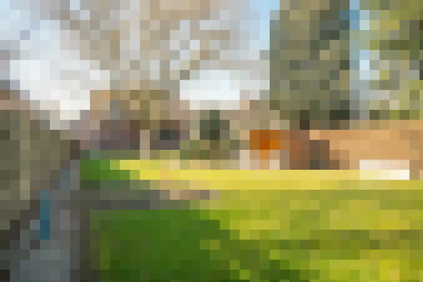 Heinsbergerweg 15 Posterholt thumbnail 42