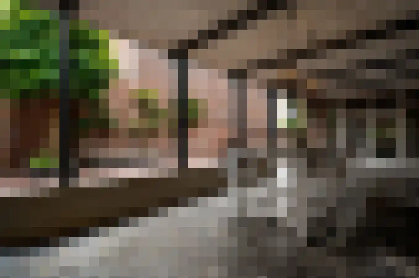 Heinsbergerweg 31 Roermond thumbnail 48