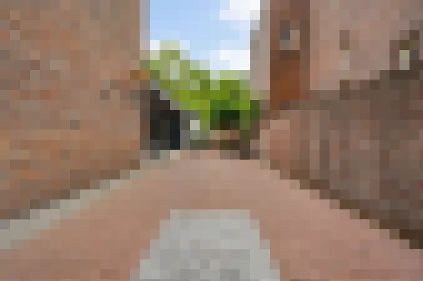 Heinsbergerweg 31 Roermond thumbnail 52