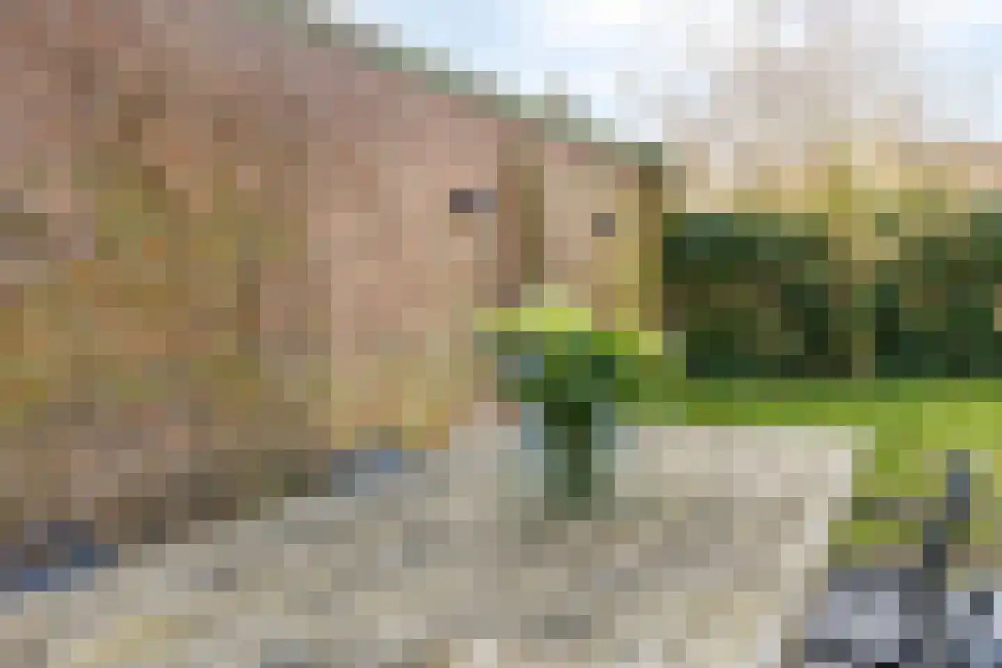 Heinsbergerweg 54 Roermond thumbnail 29