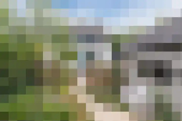 Heinsbergerweg 64 a Melick thumbnail 32