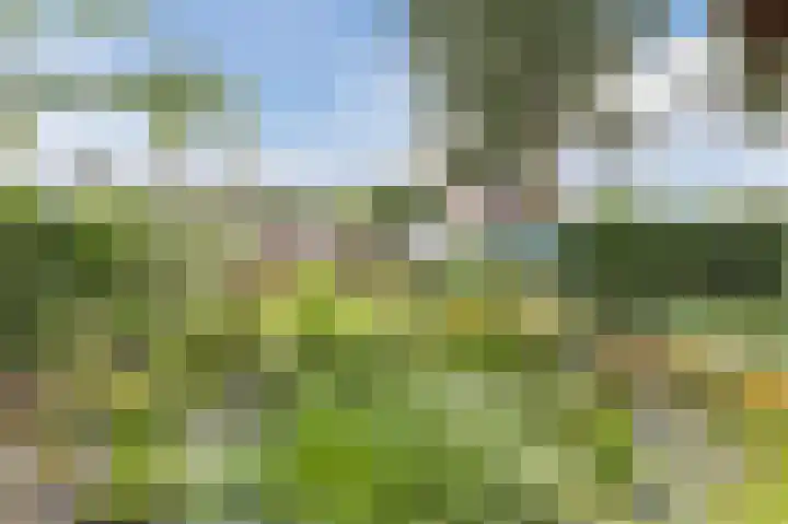 Heinsbergerweg 64 a Melick thumbnail 37