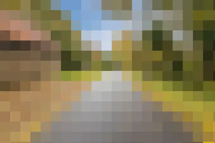 Heinsbergsestraat 8 Oud Gastel thumbnail 14
