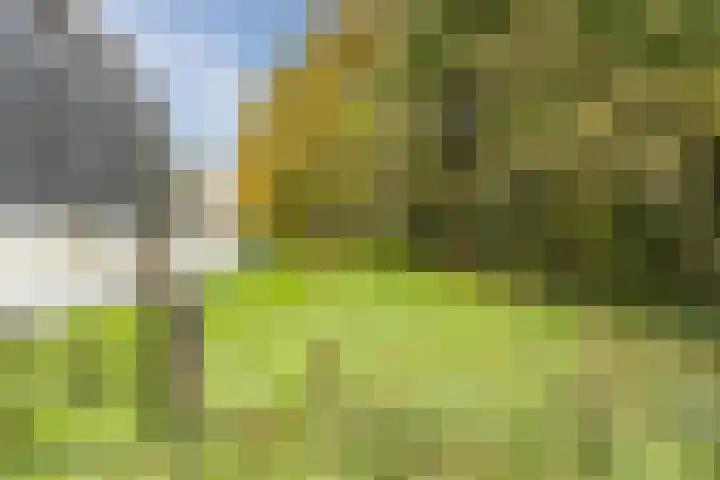 Heinsbergsestraat 8 Oud Gastel thumbnail 16