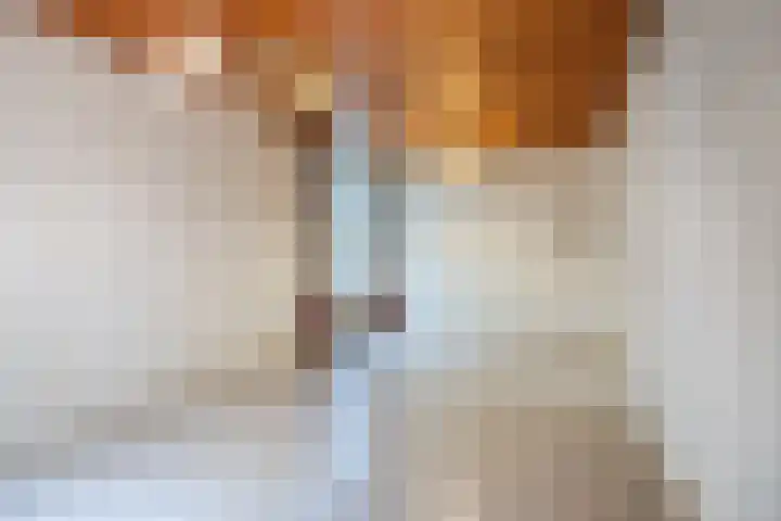 Heinsbergsestraat 8 Oud Gastel thumbnail 20
