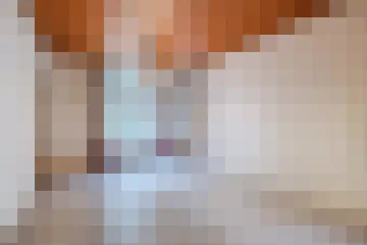 Heinsbergsestraat 8 Oud Gastel thumbnail 21