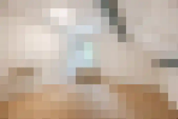 Heinsbergsestraat 8 Oud Gastel thumbnail 35