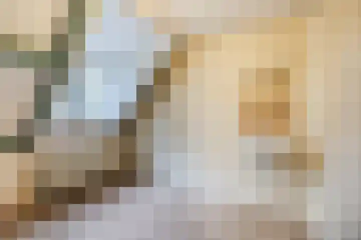 Heinsbergsestraat 8 Oud Gastel thumbnail 38