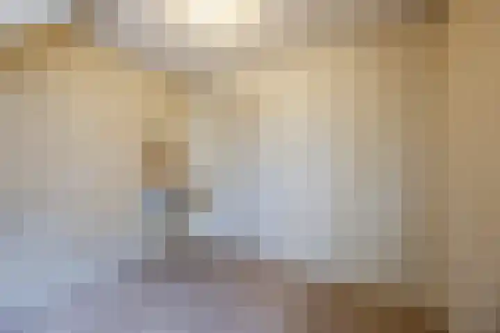Heinsbergsestraat 8 Oud Gastel thumbnail 39