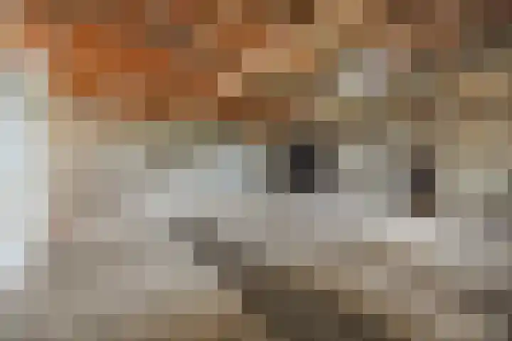 Heinsbergsestraat 8 Oud Gastel thumbnail 5