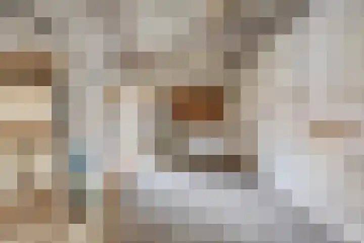 Heinsbergsestraat 8 Oud Gastel thumbnail 63