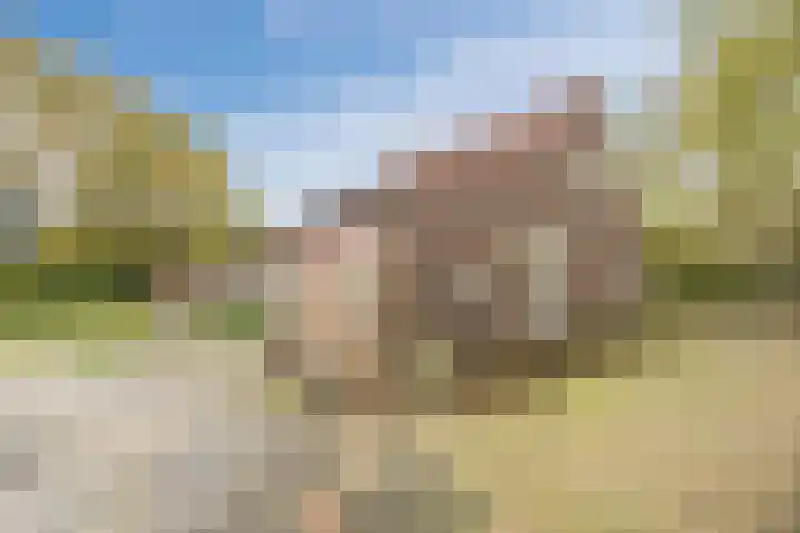 Heinsbergsestraat 8 Oud Gastel thumbnail 69