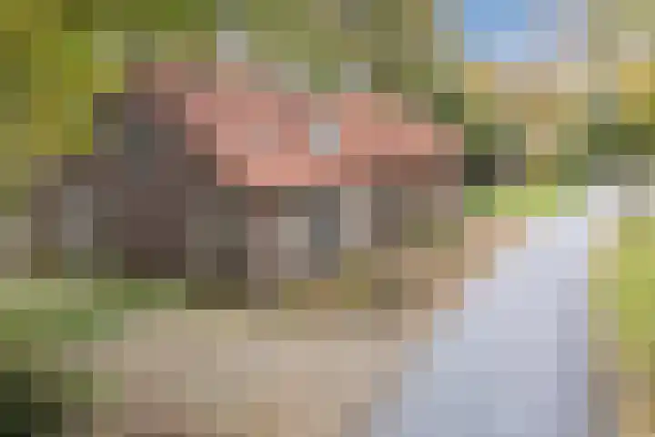 Heinsbergsestraat 8 Oud Gastel thumbnail 7