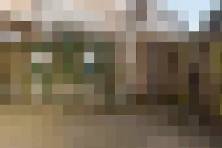 Heinseweg 17 Sittard thumbnail 15