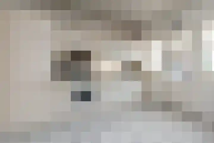 Heinseweg 34 Sittard thumbnail 11